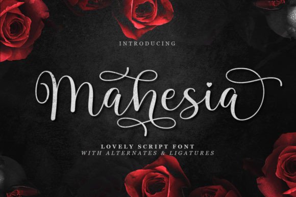 Mahesia script font preview for business fonts and modern logo lettering
