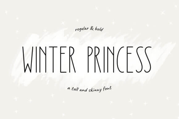 Winter Princess script font preview for elegant presentation title slides
