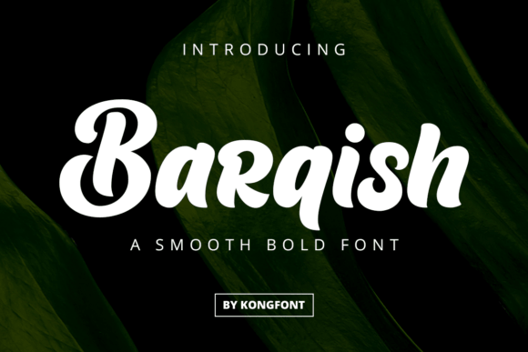 Barqish decorative font preview for bold business branding