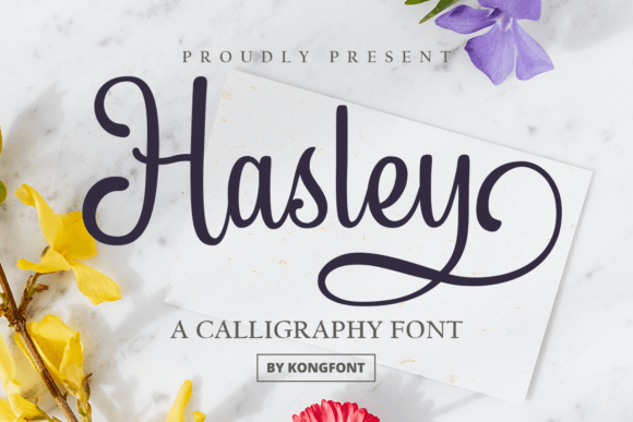 Hasley modern font preview for business branding and minimalist design