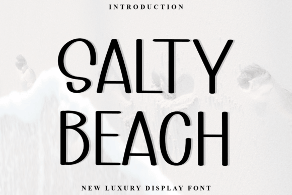Salty Beach 41 casual script font preview for lifestyle brands
