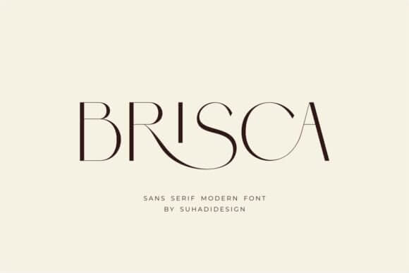 Brisca display font preview, bold business fonts style for logos and posters