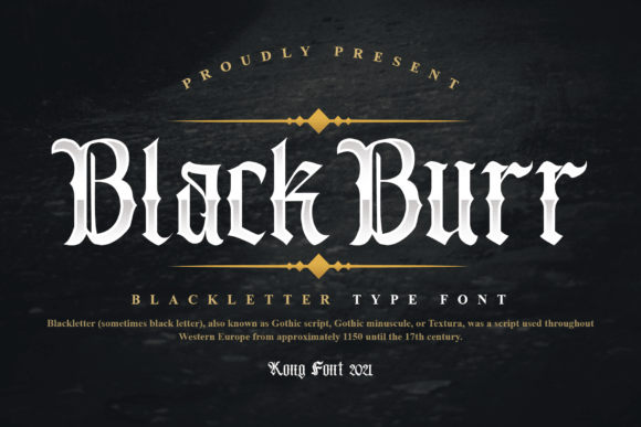 Blackburr modern serif font preview for upscale brand identity