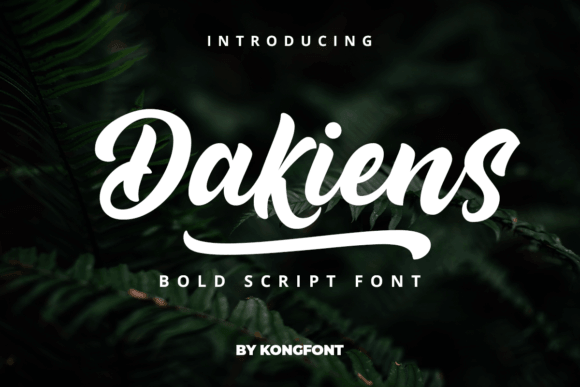 Dakiens stylish font preview for fashion branding and business fonts