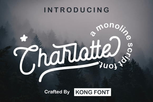 Charlotte font preview, elegant script for business fonts used in boutique branding