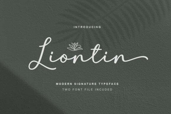 Liontin font preview for premium business branding and logo design
