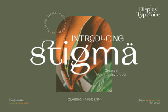 Stigma font preview for modern business fonts and boutique logo work